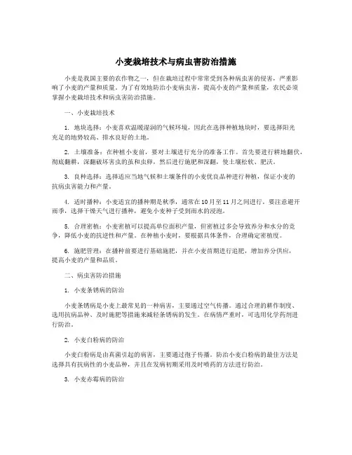 小麦栽培技术与病虫害防治措施