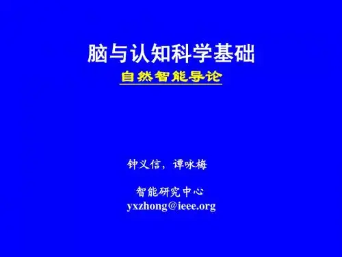 脑与认知-03