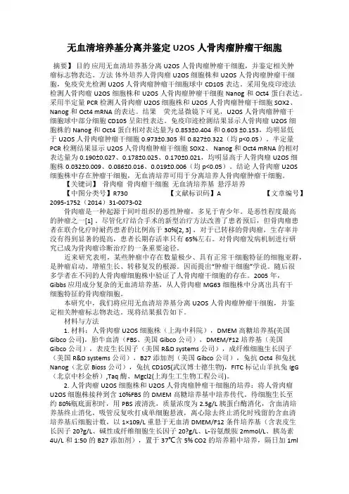 无血清培养基分离并鉴定U2OS人骨肉瘤肿瘤干细胞