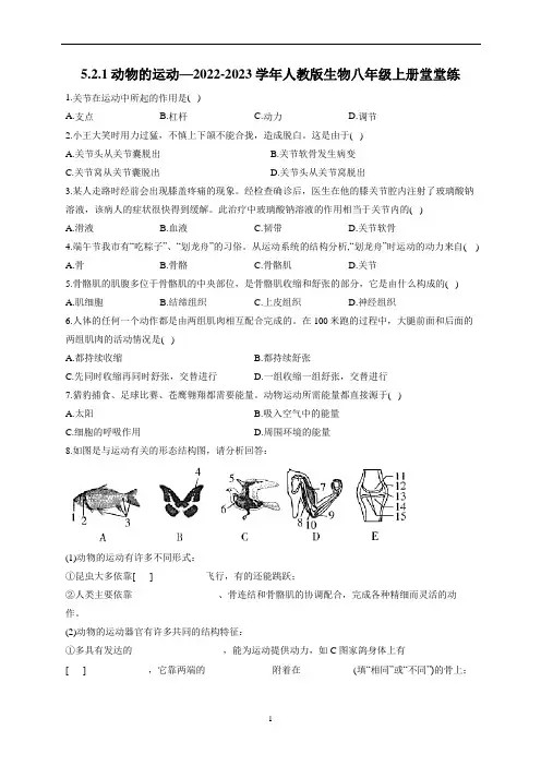5.2.1动物的运动—2022-2023学年人教版生物八年级上册堂堂练【word版 含解析】