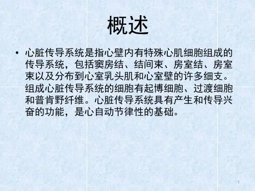 心脏传导系统 (1)PPT幻灯片