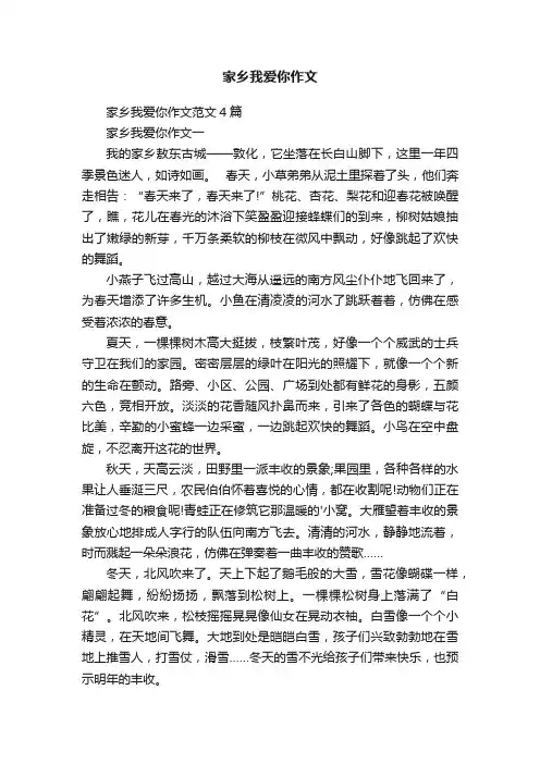 家乡我爱你作文