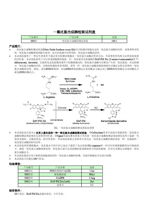 碧云天一氧化氮合成酶检测试剂盒