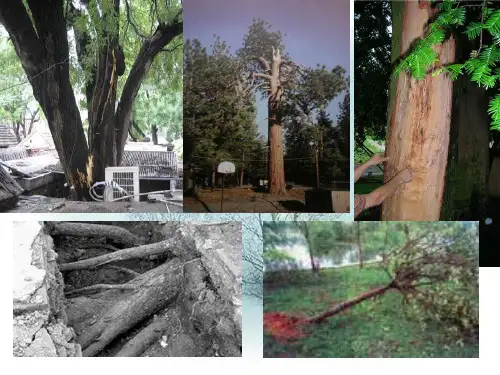广岛是遭受世界上第一颗原子弹轰炸的地点当年.ppt