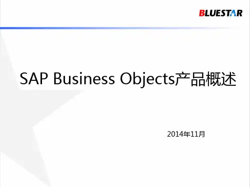 01_什么是SAP Business Objects