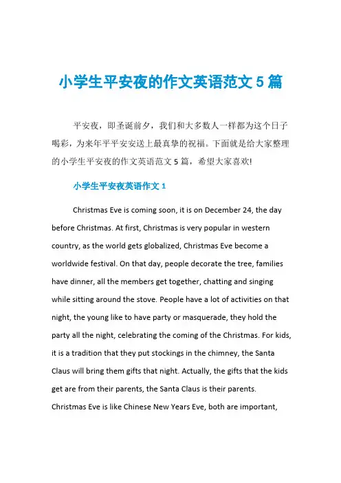 小学生平安夜的作文英语范文5篇