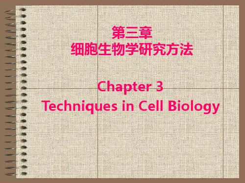 细胞生物学 第3章 细胞生物学研究方法 图文