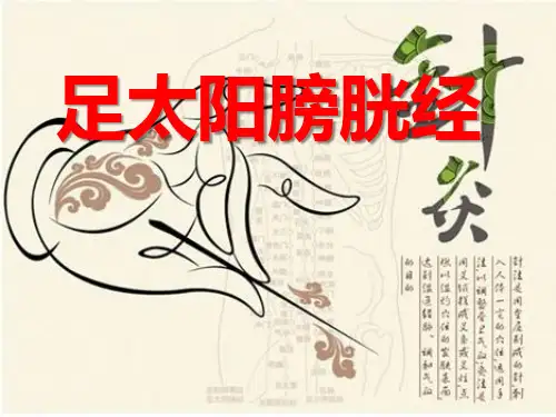 足太阳膀胱经
