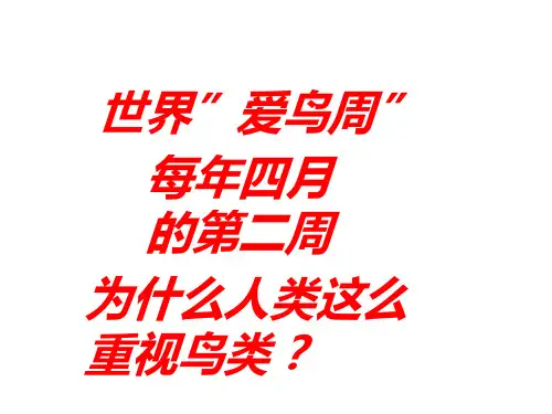 世界爱鸟周-PPT课件