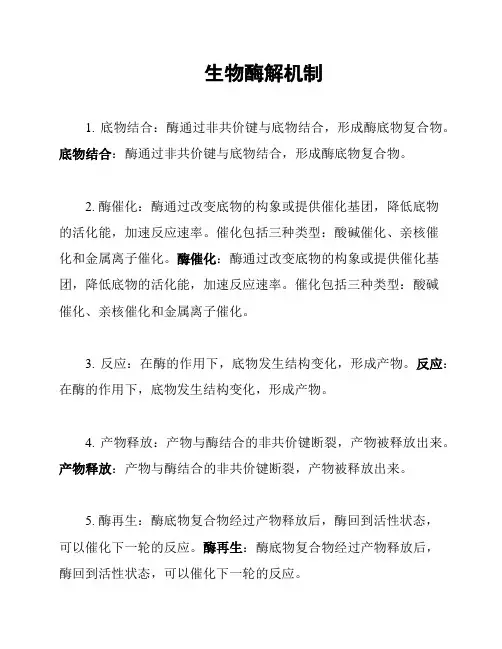 生物酶解机制