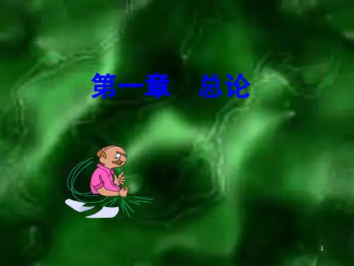 财务会计概述(PPT41页).pptx