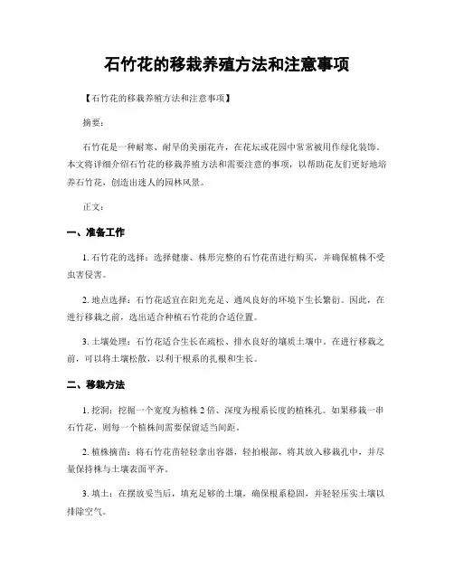 石竹花的移栽养殖方法和注意事项