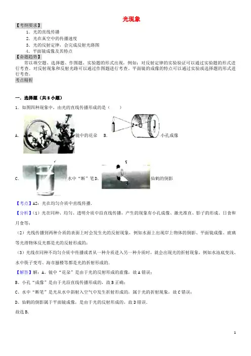 中考物理 专题讲解 第四讲 光现象(含解析)
