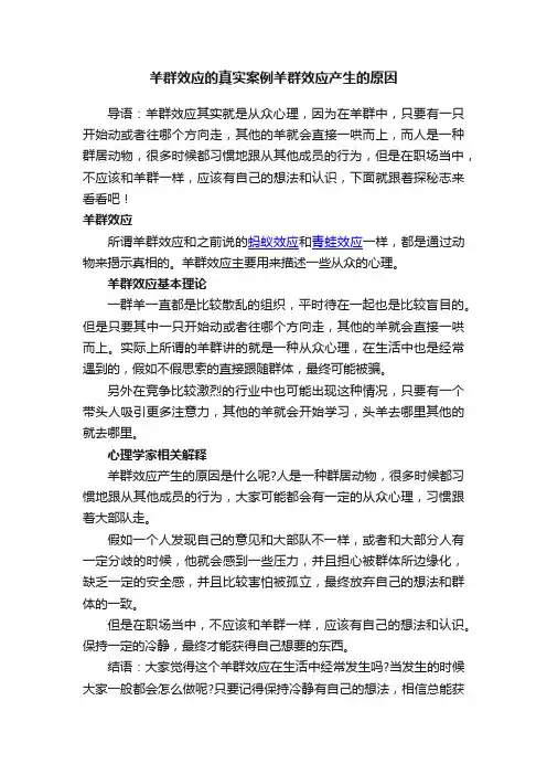 羊群效应的真实案例羊群效应产生的原因