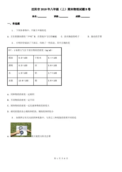 沈阳市2019年八年级(上)期末物理试题B卷