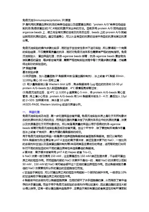 免疫沉淀IP