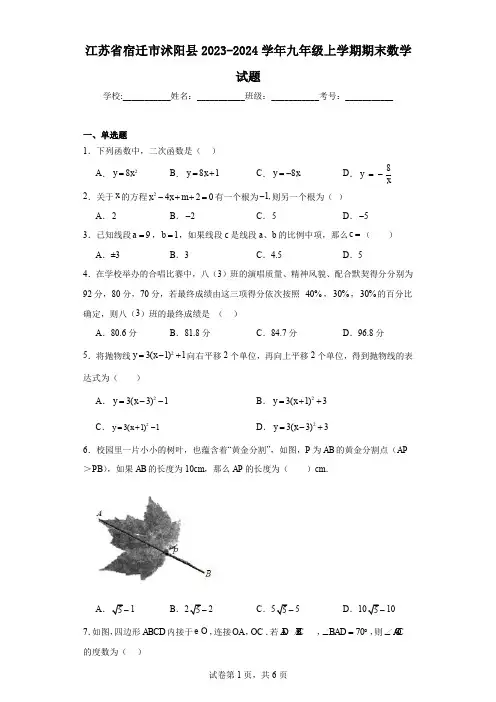 江苏省宿迁市沭阳县2023-2024学年九年级上学期期末数学试题