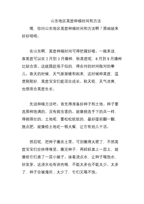 山东地区莴苣种植时间和方法