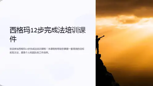 西格玛12步完成法培训课件