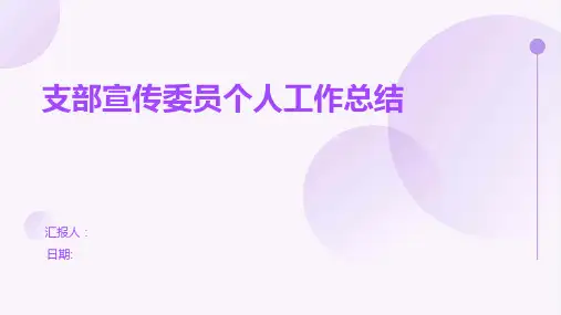支部宣传委员个人工作总结