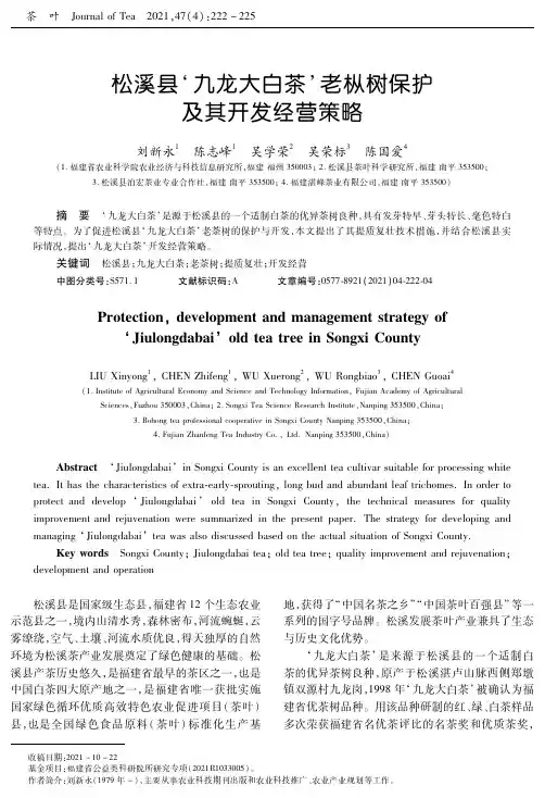 松溪县‘九龙大白茶’老枞树保护及其开发经营策略