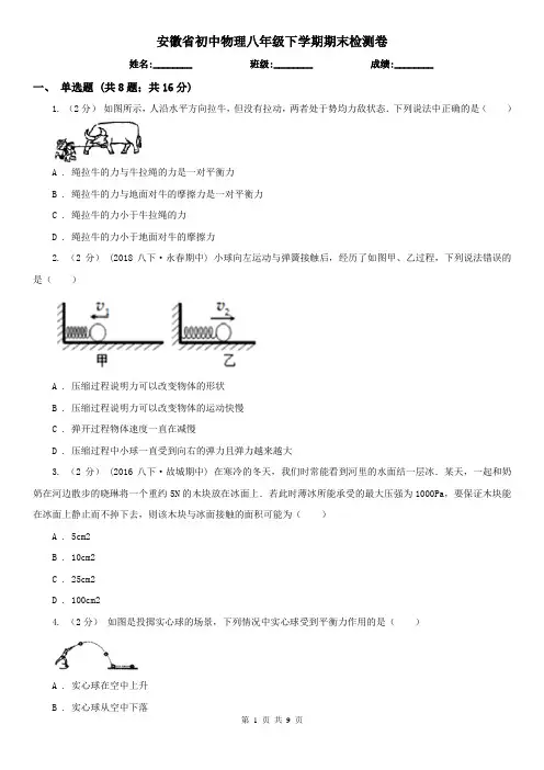 安徽省初中物理八年级下学期期末检测卷
