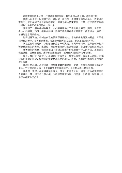 我种下的小树
