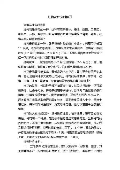 红梅花什么时候开