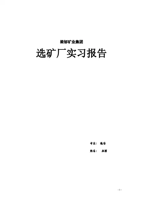 有色金属矿山选矿厂实习报告