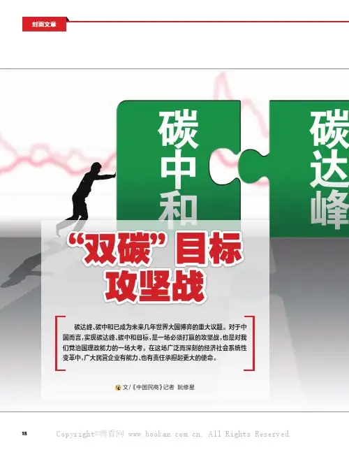 “双碳”目标攻坚战
