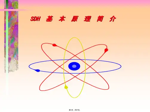 SDH原理详解(共67张)
