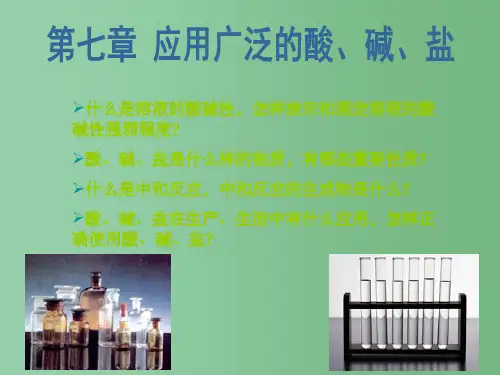 九年级化学全册 第7章 应用广泛的酸、碱、盐 第1节 溶液的酸碱性2 沪教版A