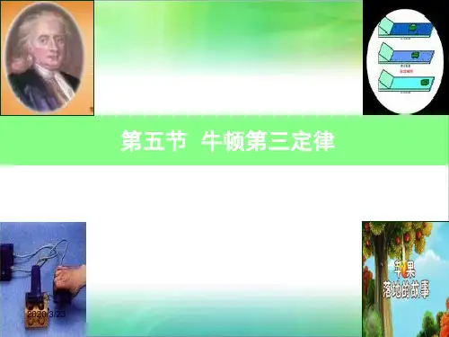 《牛顿第三定律》说课稿PPT课件
