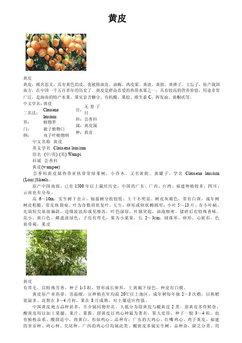 黄皮——精选推荐