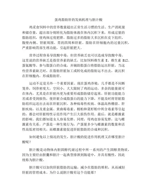 蛋鸡脂肪肝的发病机理与胆汁酸