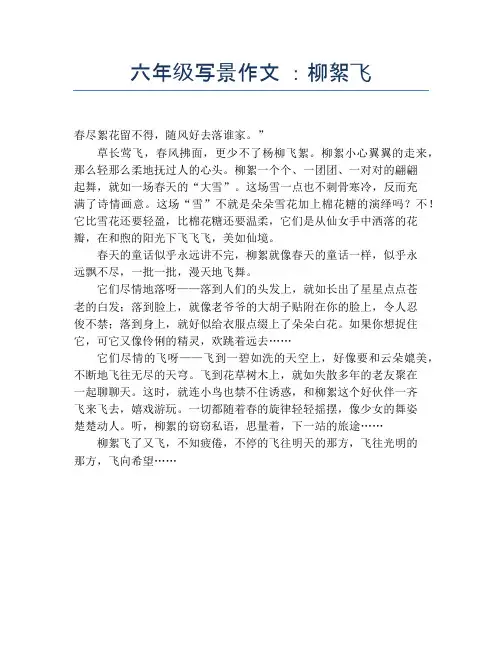 六年级写景作文 ：柳絮飞