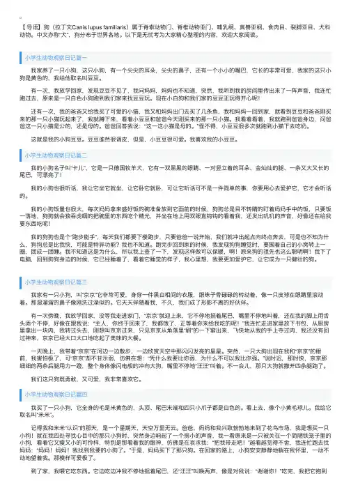 小学生动物观察日记五篇