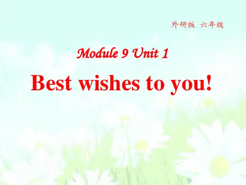 《Best Wishes to you》PPT课件2