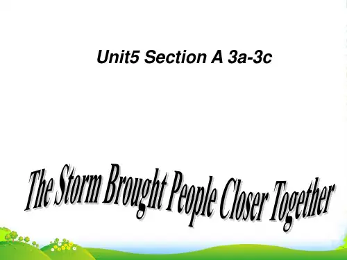 人教英语八年级下册Unit5SectionA3a3c (共19张PPT)