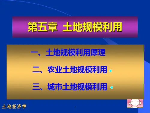 5章-土地规模利用PPT课件