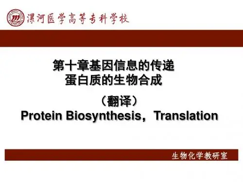 基因信息的传递--蛋白质的生物合成(精)