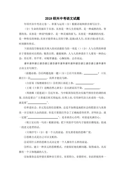 中考作文-2019绍兴中考语文试题 精品