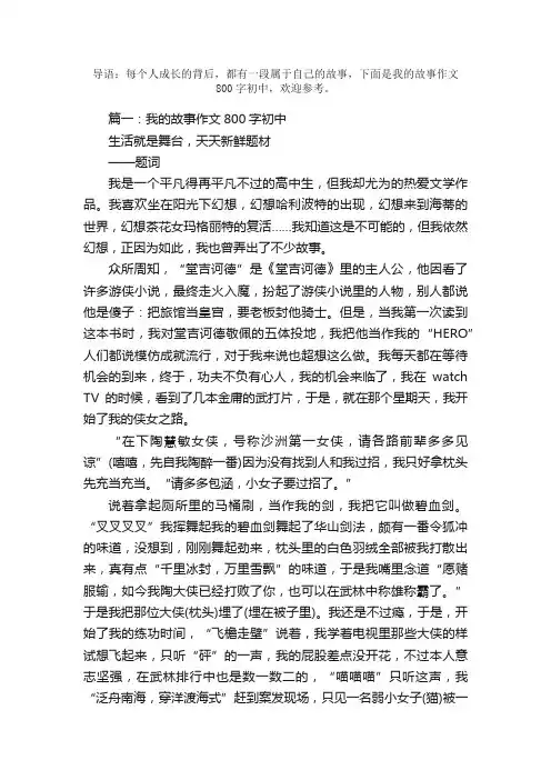 我的故事作文800字初中