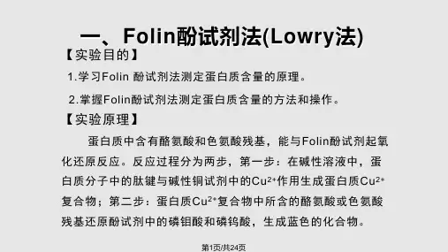 蛋白质的定量测定方法PPT课件