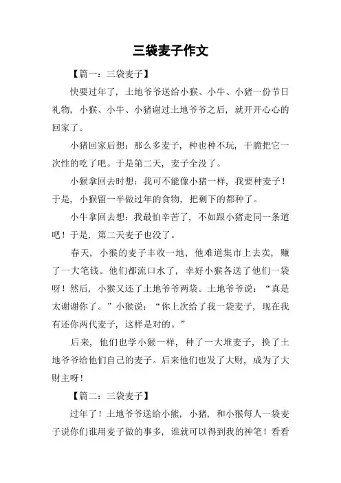 三袋麦子作文