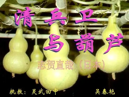 《清兵卫与葫芦》ppt课件(20页)