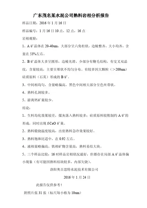广东茂名某水泥公司熟料岩相分析报告