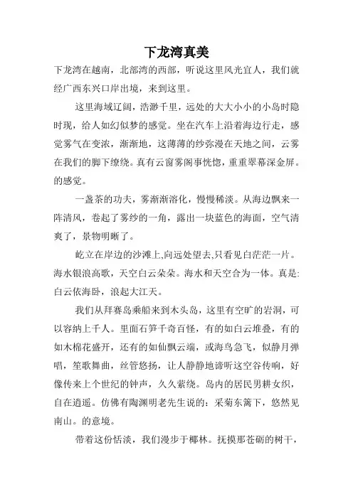 下龙湾真美.doc