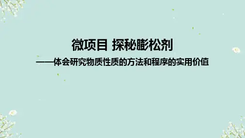 微项目+探秘膨松剂-体会研究物质性质的方法和程序的实用价值2025学年高一上学期化学鲁科版必修第一册