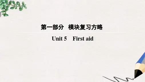 高考英语大一轮复习第1部分模块复习方略Unit5Firstaid课件新人教版必修5